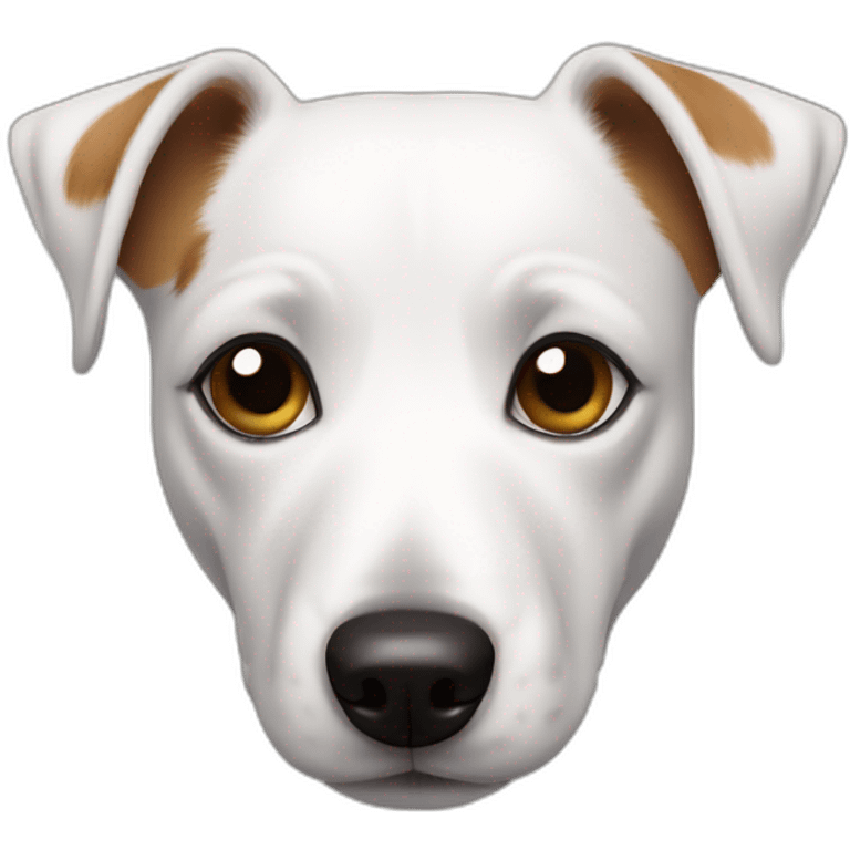 Jack Russell terrier llorando de la risa emoji