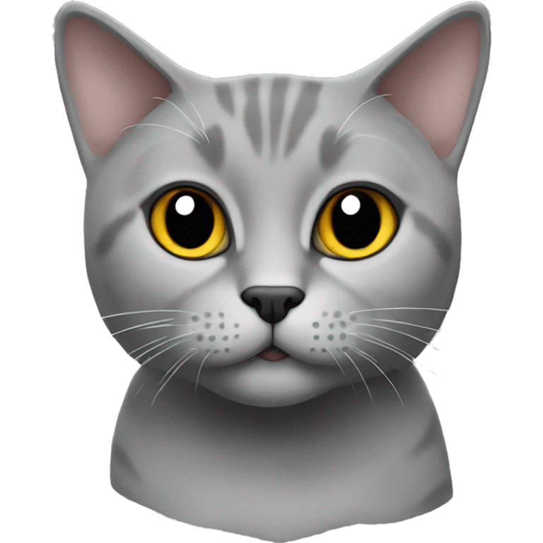 British short hair cat grey emoji