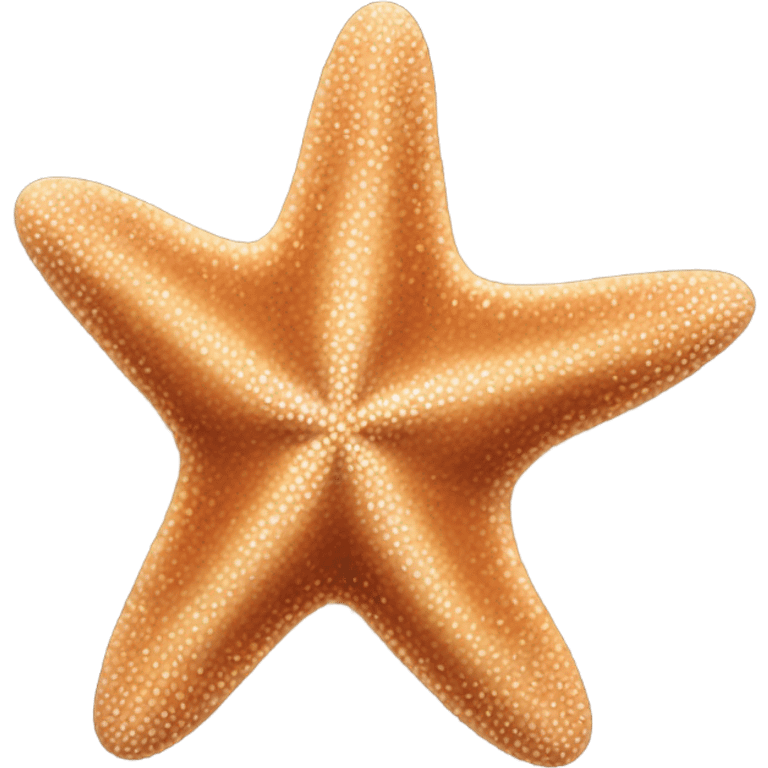 Brown starfish emoji