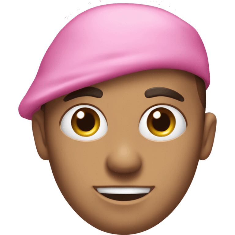 Pink Poplin Laundry Pro emoji