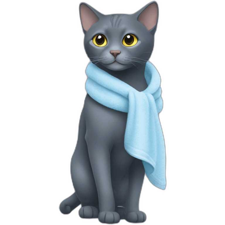 a darker russian blue cat walks with a towel on his mouth emoji