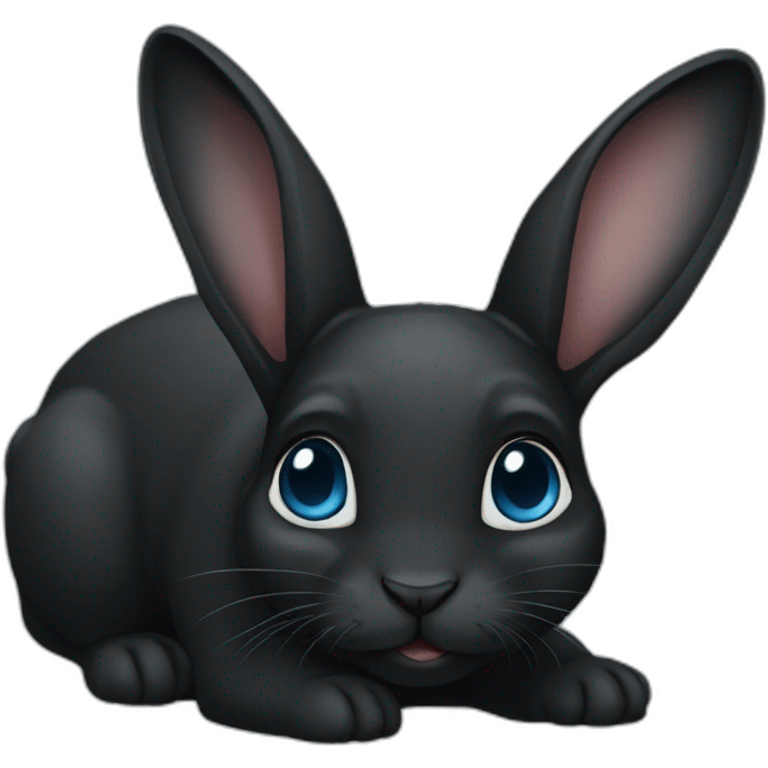 A black baby dutch rabbit with black and blue eyes emoji