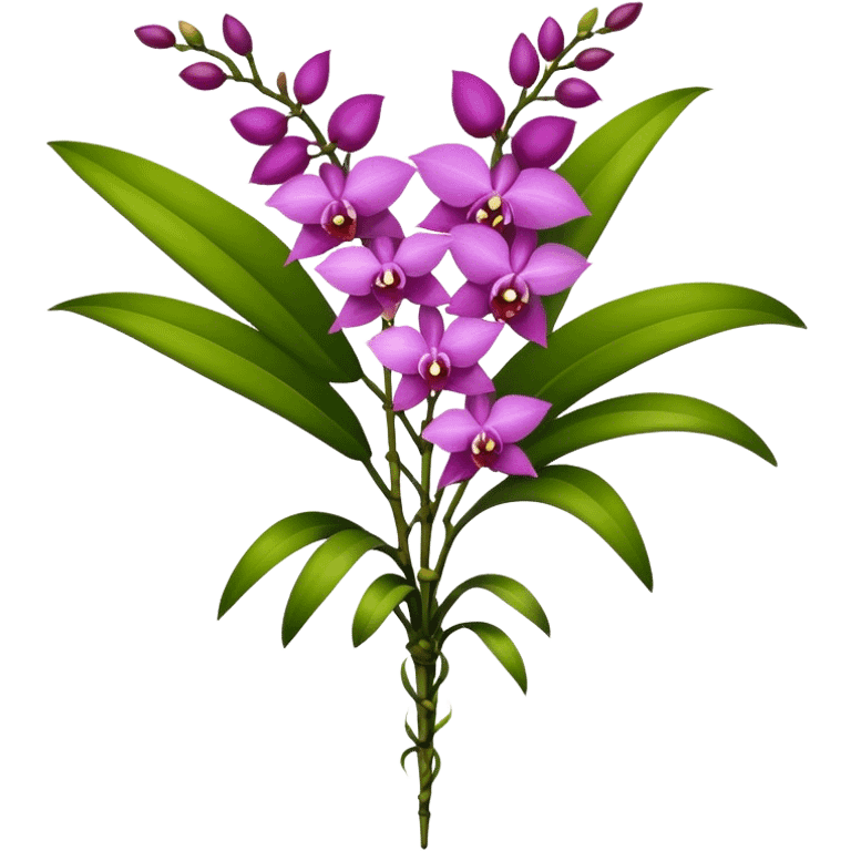 big bouquet Dendrobium Orchid, stem, leaf emoji