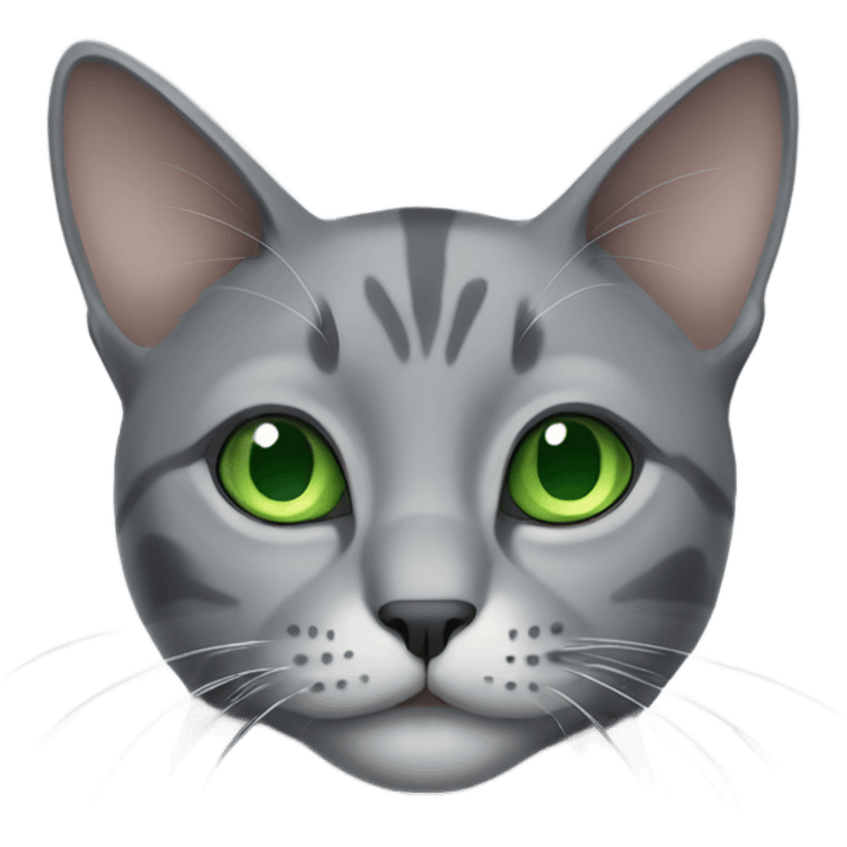 Grey cat with green eyes emoji