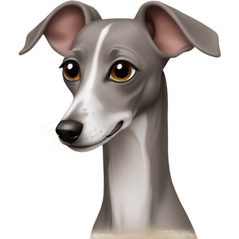 Italian greyhound  emoji