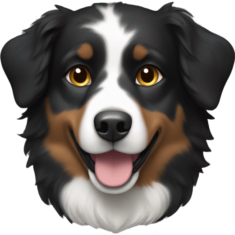 Small black australian shepherd dog with armor emoji