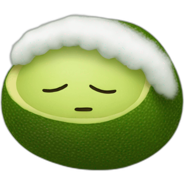 Sleeping face of a fluffy stuffed avocado emoji