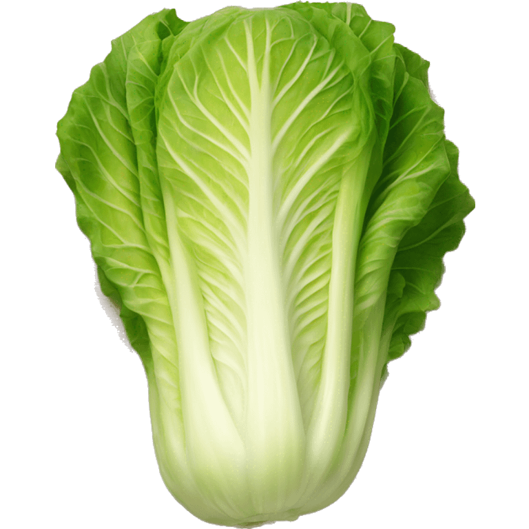 A napa cabbage marinated in a red pepper paste emoji