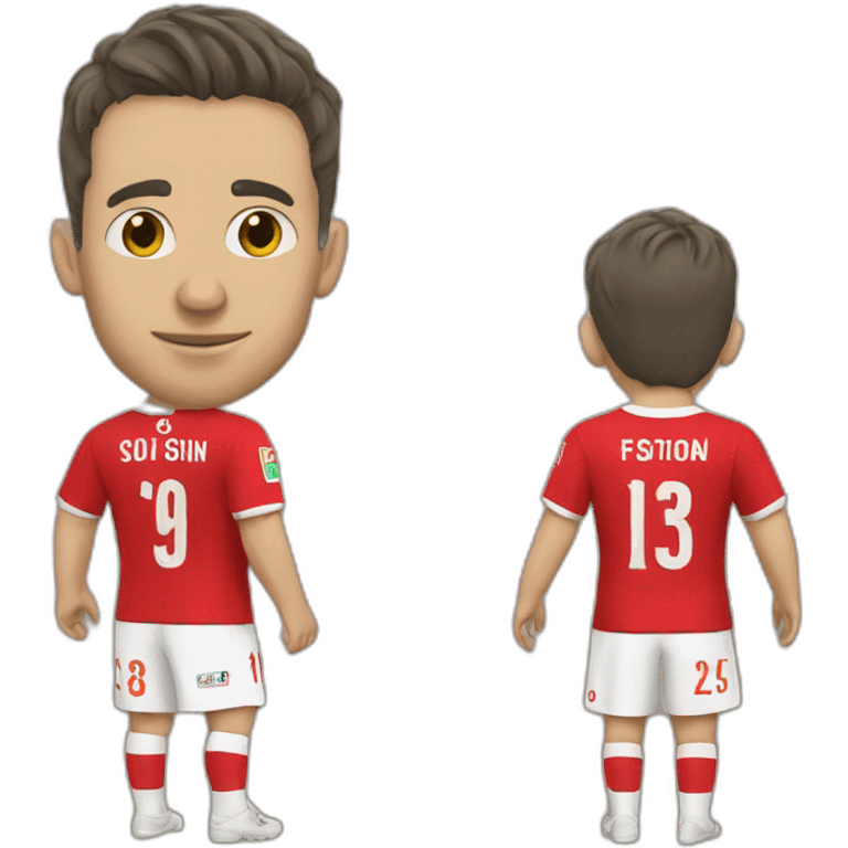 Fc Sion emoji