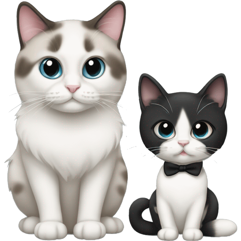 2 cats one is a ragdoll and the other is a tuxedo cat emoji