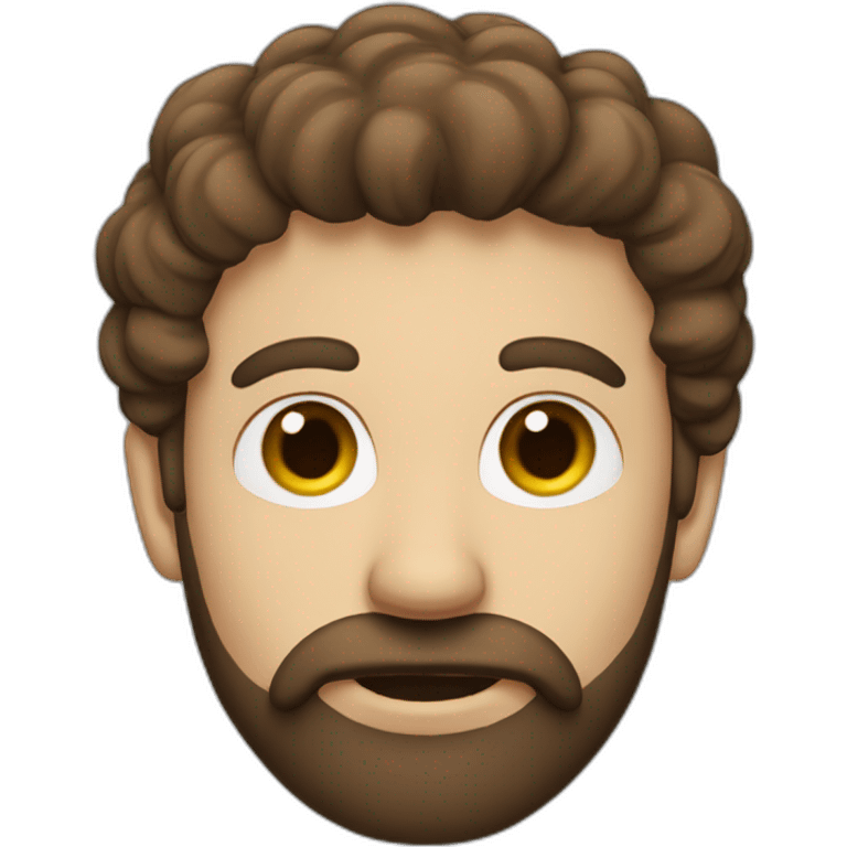 A Man with brown hair a Beard and a cloud in front of his face emoji