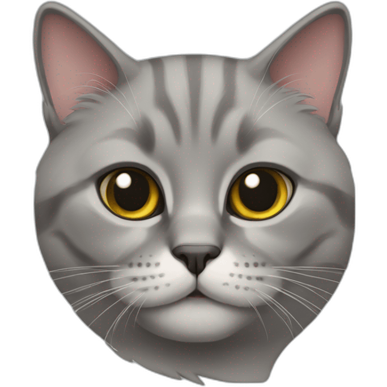 british cat emoji