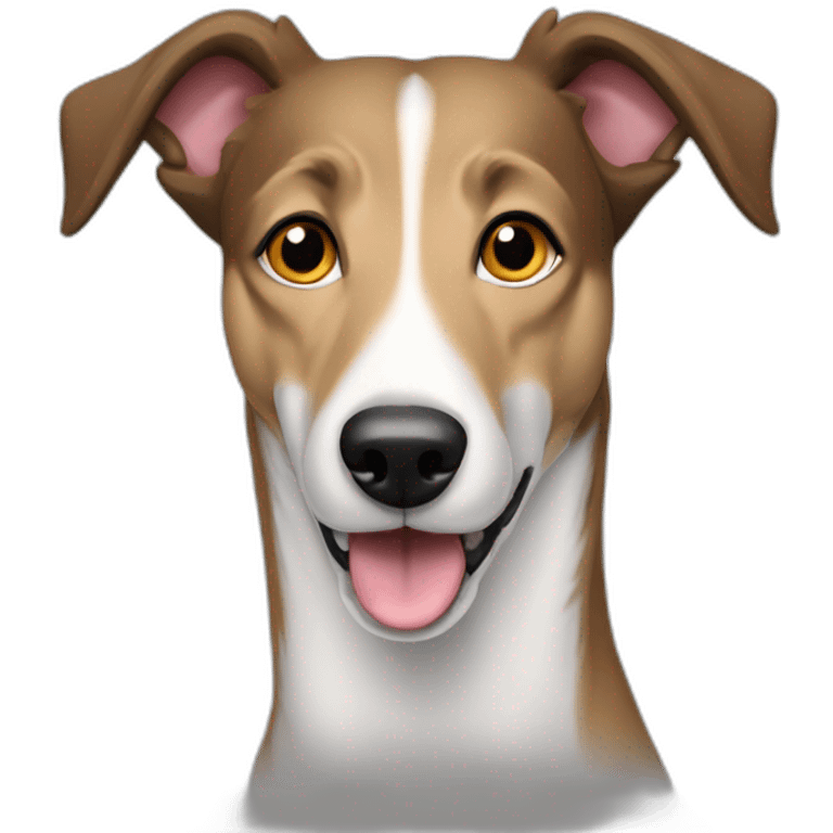 Collie whippet cross emoji