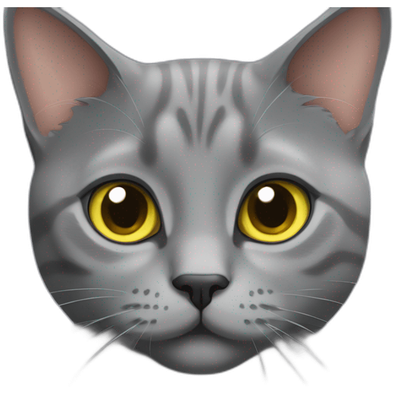 Chartreux cat with European cat emoji