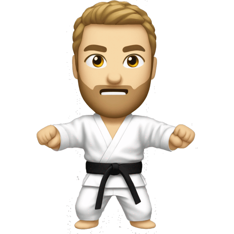 Karate kyokushin emoji