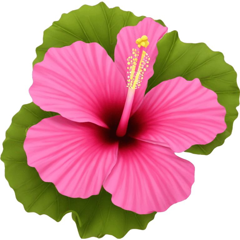 Pink hibiscus  emoji