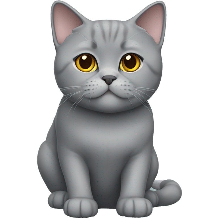 British shorthair cat grey  emoji