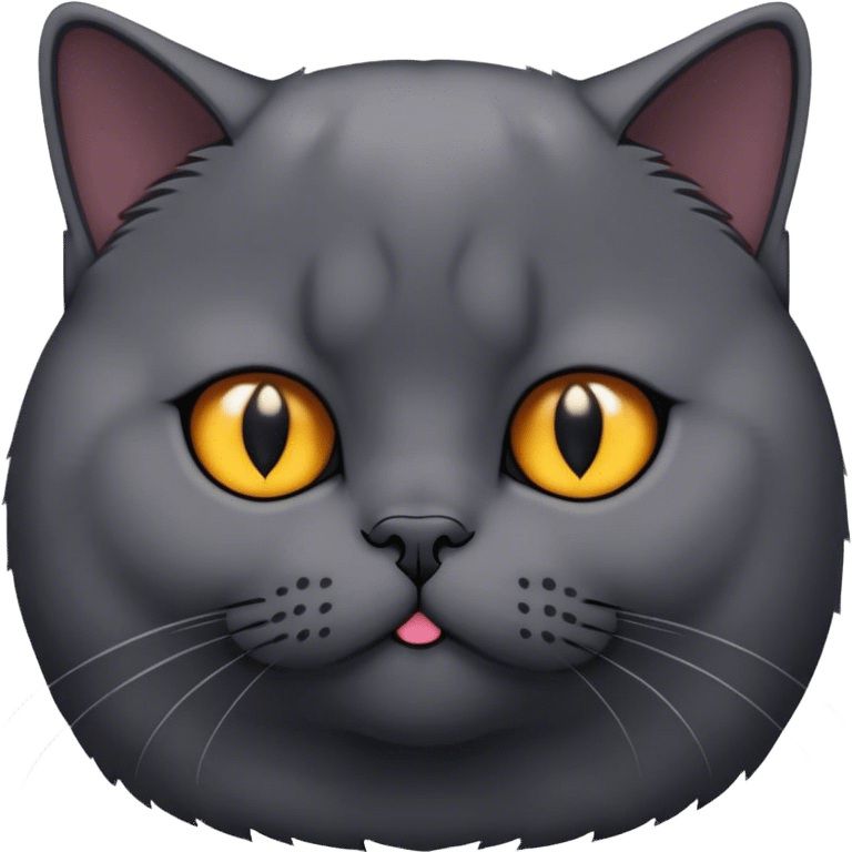 black British shorthair cat emoji