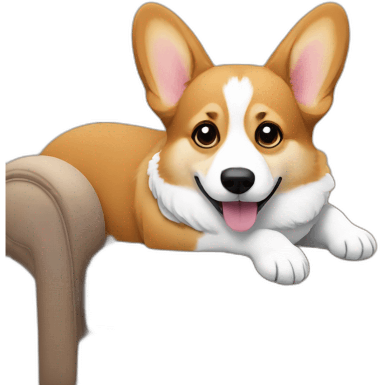 Corgi on the couch emoji