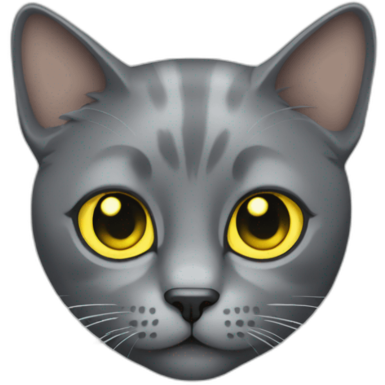 grey cat with yellow eyes emoji