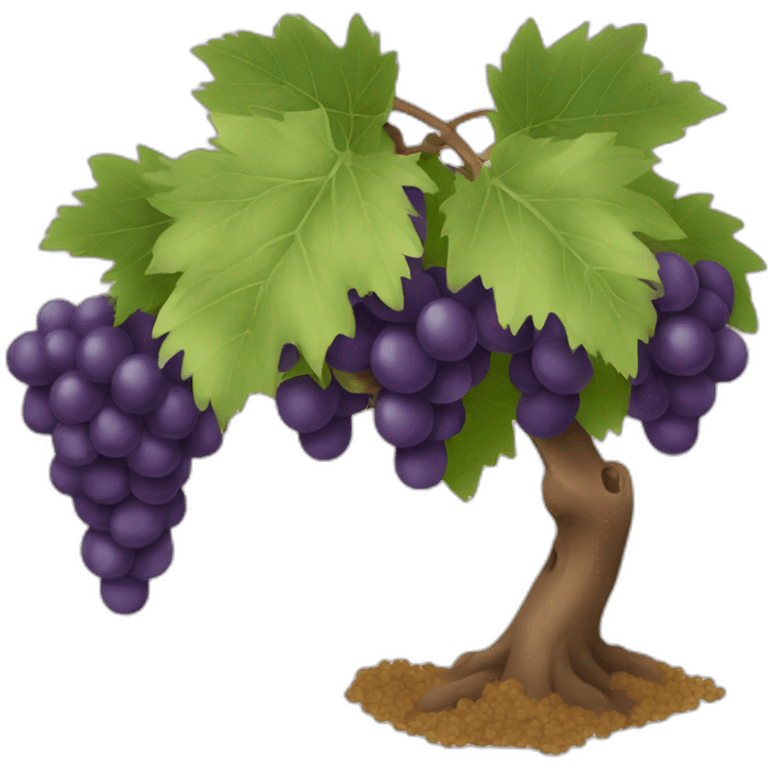 grape harvest emoji