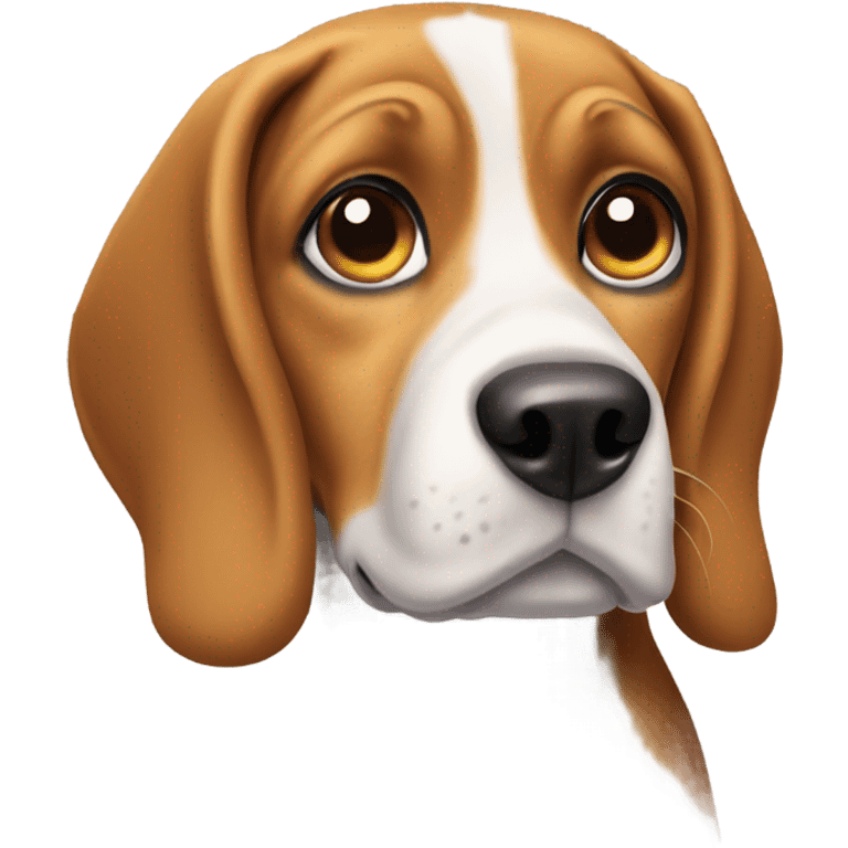 Beagle dog doing puppy eyes emoji