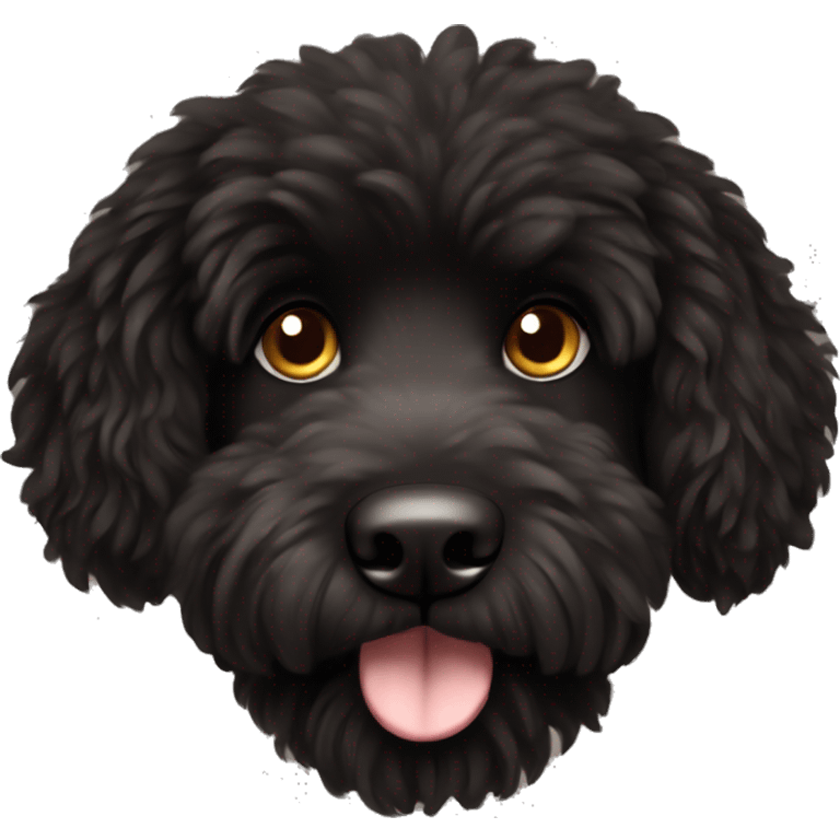 black fluffy doodle dog brown eyes  emoji