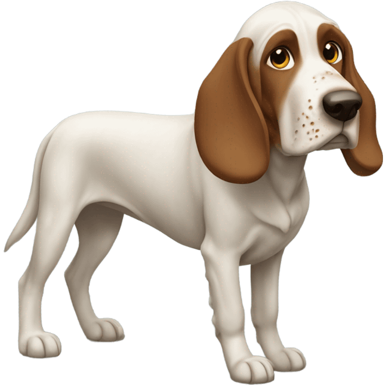 Bracco Italiano dog emoji