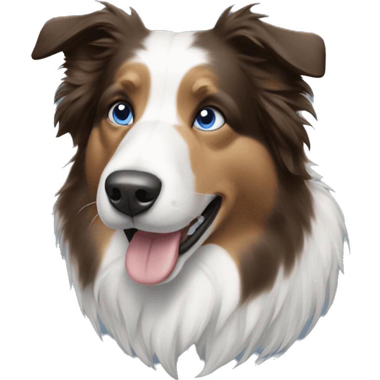 blue-eyes-bordercollie-bluemerle emoji