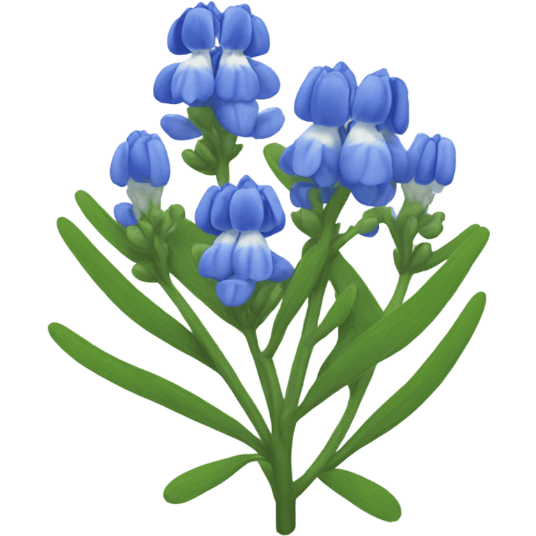 Bluebonnet flower emoji