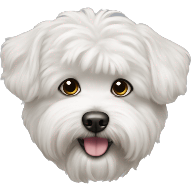 Bichon malte emoji