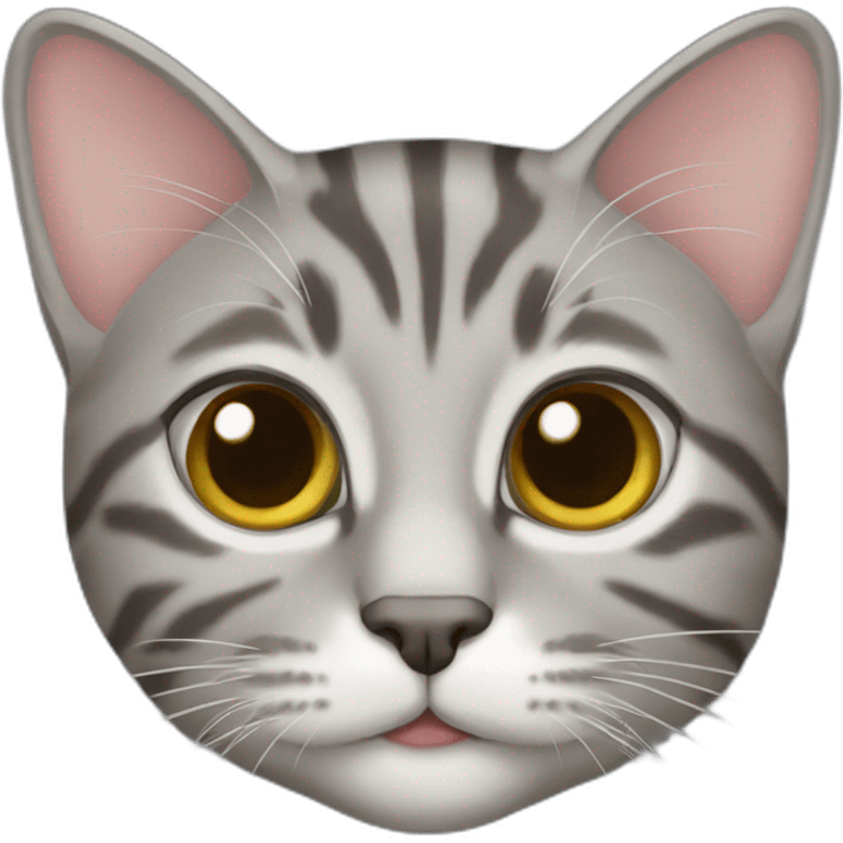 Gray tabby cat emoji