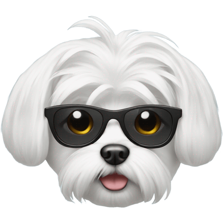 Maltese with sunglasses  emoji