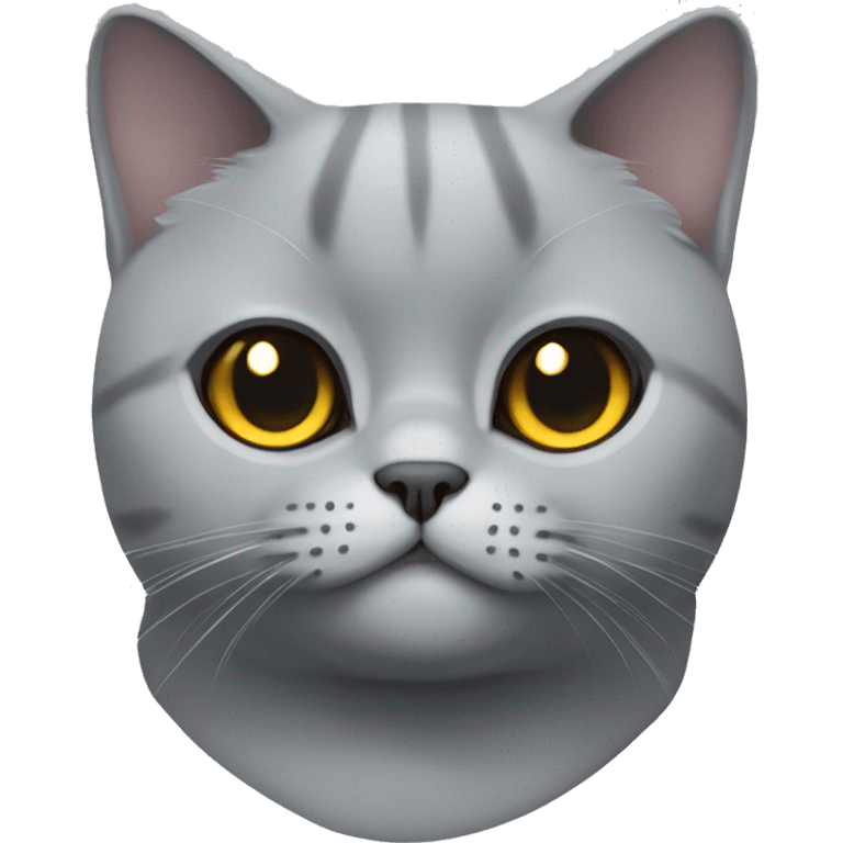 British shorthair cat face more gray emoji