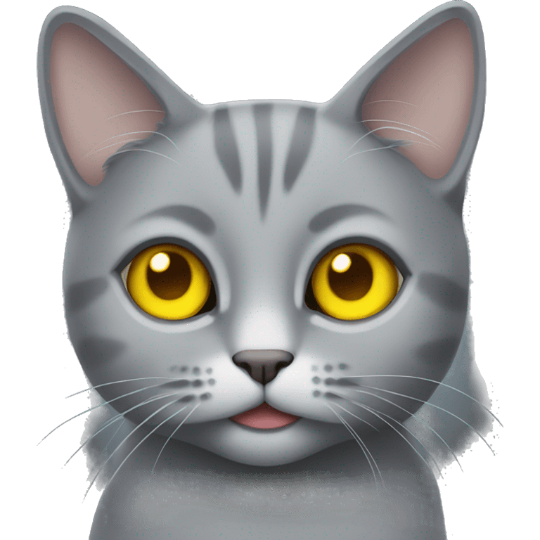 Grey cat with yellow eyes emoji