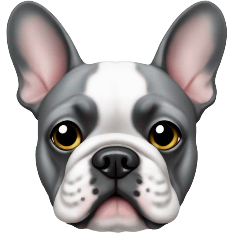 Gray French Bulldog christmas emoji