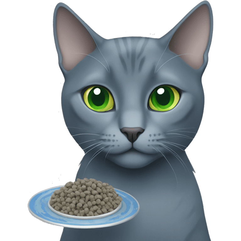 Russian Blue with blue,green eyes, eating cat food emoji