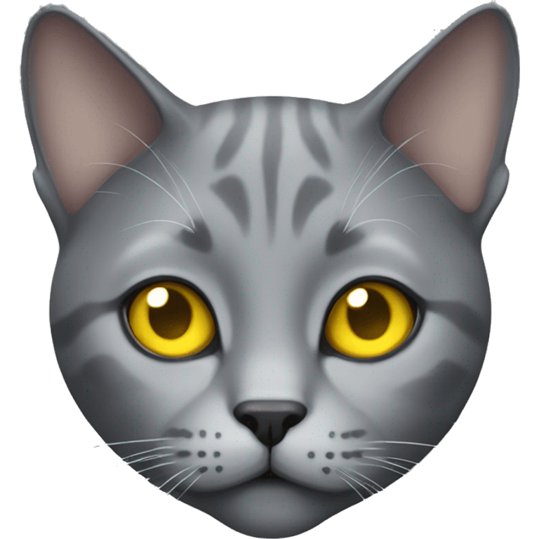 realistic grey cat with yellow eyes  emoji