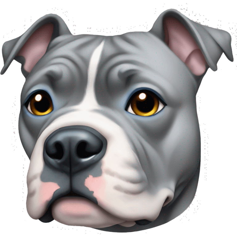 Grey American bully with blue eyes emoji