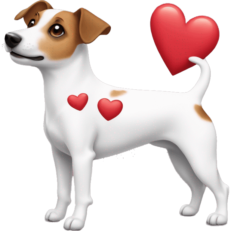 Jack Russell with hearts  emoji