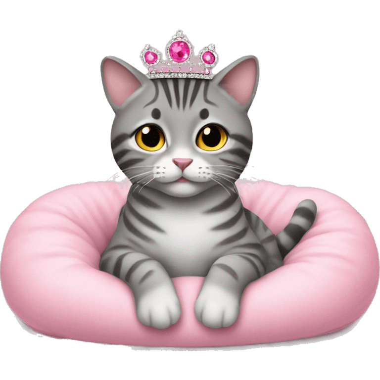 gray tabby sitting on pink pillow wearing pink gem tiara  emoji