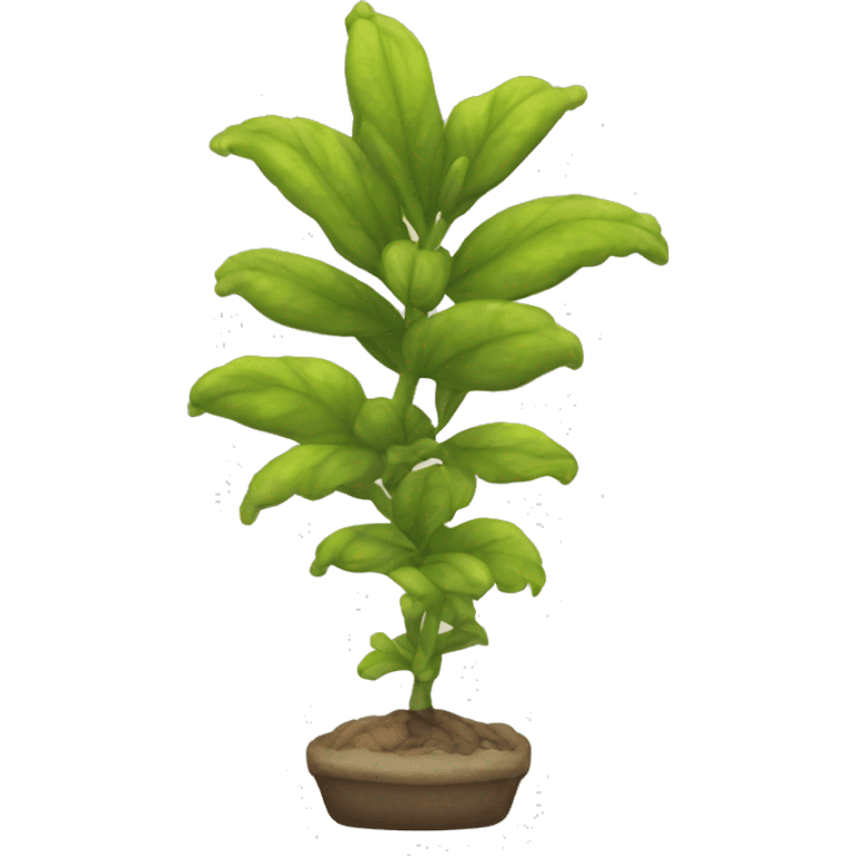 lagurus ovatus plant emoji