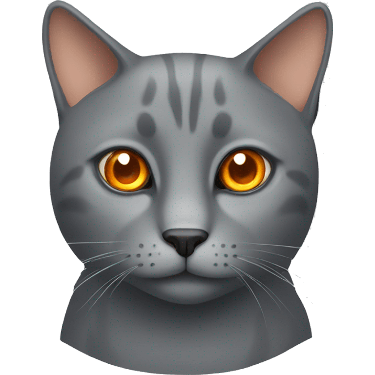 grey cat with orange eyes emoji