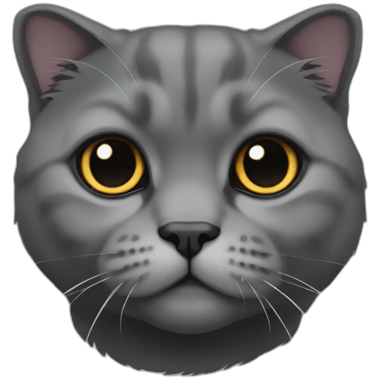 all dark grey scottish fold cat emoji