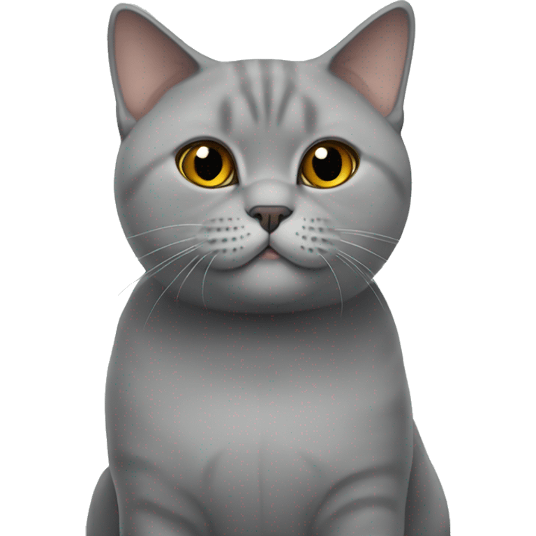 British shorthair cat emoji