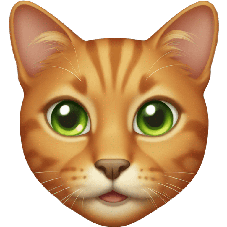 Darker Orange cat with green eyes emoji