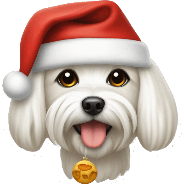 maltese with bone and santa hat emoji