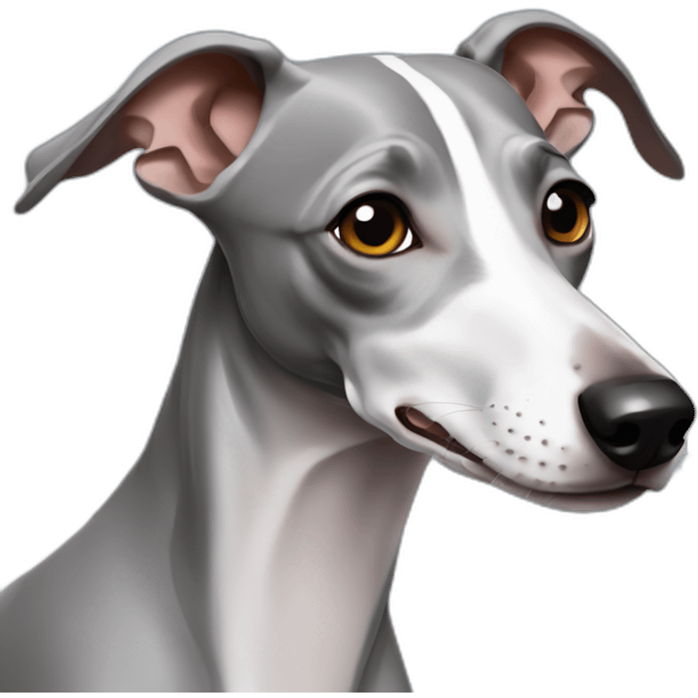 Grey Italian greyhound emoji