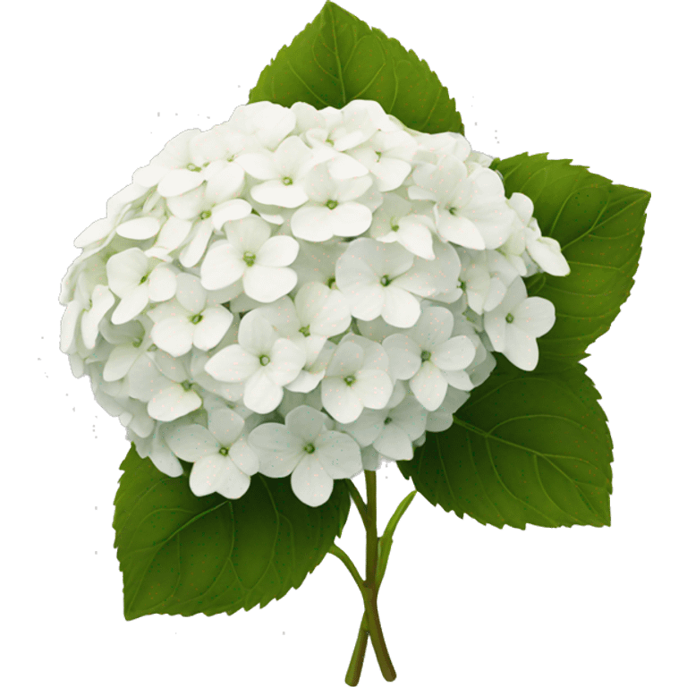 White hydrangeas  emoji