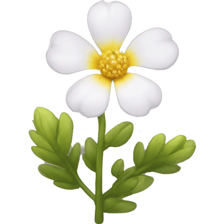 Ursinia flower emoji